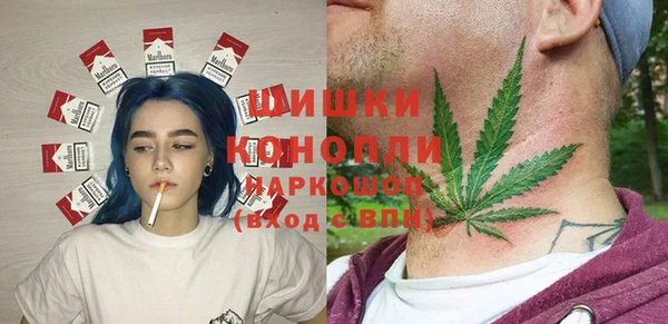 бошки Алексин