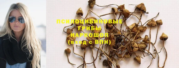 мет Абаза