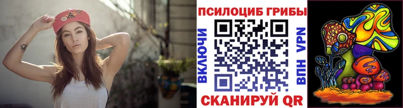 Псилоцибиновые грибы мицелий  omg зеркало  Новокубанск  как найти  